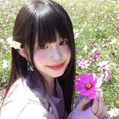 海豚的故事2